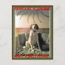 Search for shelters postcards Dogs