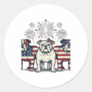 Search for firework stickers Usa