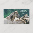 Search for from business cards Horse