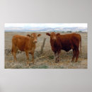 Search for farm humour posters Fun