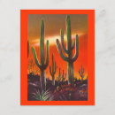 Search for saguaro invitations Desert