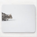 Search for crawl electronics Animal