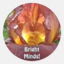 Search for mind stickers Flower