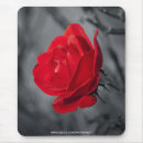 Search for rose red mousepads Flower