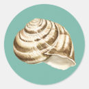Search for ocean background stickers Seashell