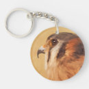 Search for kestrel key rings Falcon