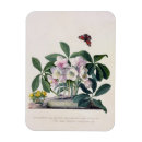 Search for art christmas cards Flowers