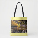 Search for falling water bags Nature