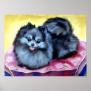 Search for pomeranian posters Animals