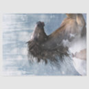 Search for horse tissue paper Mustang