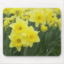 Search for outdoors mousepads Natural