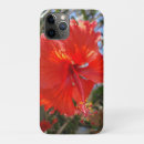 Search for grace iphone cases Bloom