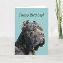 Search for cane corso cards Dog