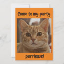 Search for brown eye invitations Cat