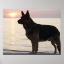 Search for georgian posters Canada
