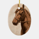 Search for paint horse christmas tree decorations Equestrian