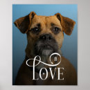 Search for doggy art Dogs
