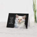 Search for blue hair cards Kitty