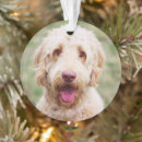 Search for mixed breed dog christmas tree decorations Goldendoodle