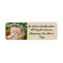 Search for cat lover return address labels Cats