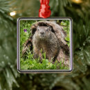 Search for groundhog christmas tree decorations Rodent
