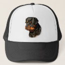 Search for rottweiler hats Puppy