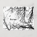 Search for nevermore postcards Horror