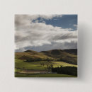 Search for landscapers badges Horizontal