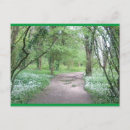 Search for forest path photography Woodland