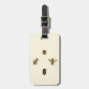 Search for beetles accessories Nature