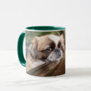 Search for cutest mugs Dog