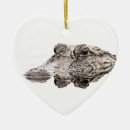 Search for reptile christmas tree decorations Gator