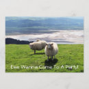 Search for ewe invitations Sheep