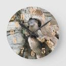 Search for otter clocks Mustelids