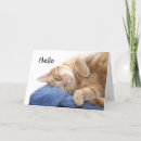 Search for kitty face cards Animal