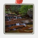 Search for zion national park christmas tree decorations Desert