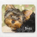 Search for yorky electronics Dog lover