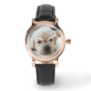 Search for dog napping accessories Puppy