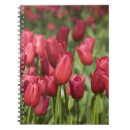 Search for 4 notebooks Red