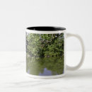 Search for kyoto coffee mugs Green