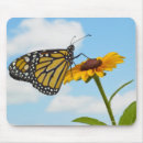 Search for full body mousepads Nature
