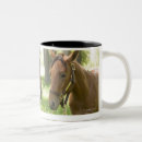 Search for quarter horse mugs Outdoors