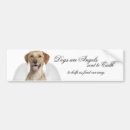 Search for yellow lab bumper stickers Dog