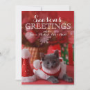 Search for russian christmas cards Front view