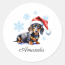 Search for dachshund christmas stickers Wiener dog
