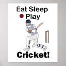 Search for cricket sport posters Sports
