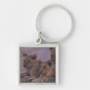 Search for 3 lions key rings Wildlife