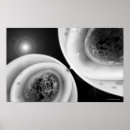 Search for cell division Mitosis