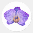 Search for tropical plant stickers Purple