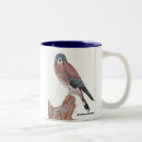 Search for kestrels mugs Nature